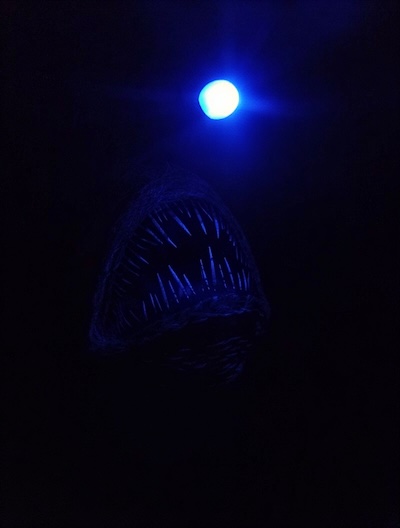 charybdis5_w400h528.jpg